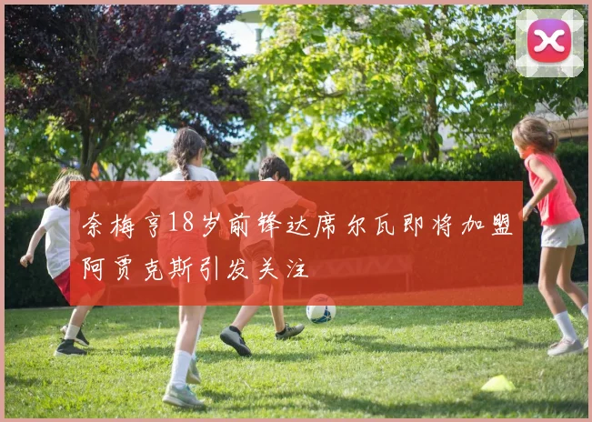奈梅亨18岁前锋达席尔瓦即将加盟阿贾克斯引发关注