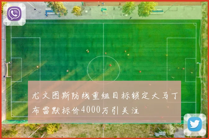 尤文图斯防线重组目标锁定大马丁布雷默标价4000万引关注